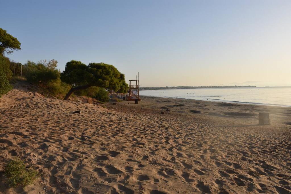 Seashell Apartment -Near The Beach Artemida  Bagian luar foto